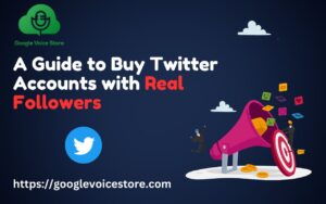 "Navigating the Twitterverse: A Guide to Buying Twitter Accounts with Real Followers"